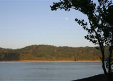 Burkesville