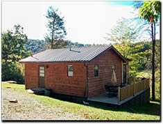 Pine Tree Cabins