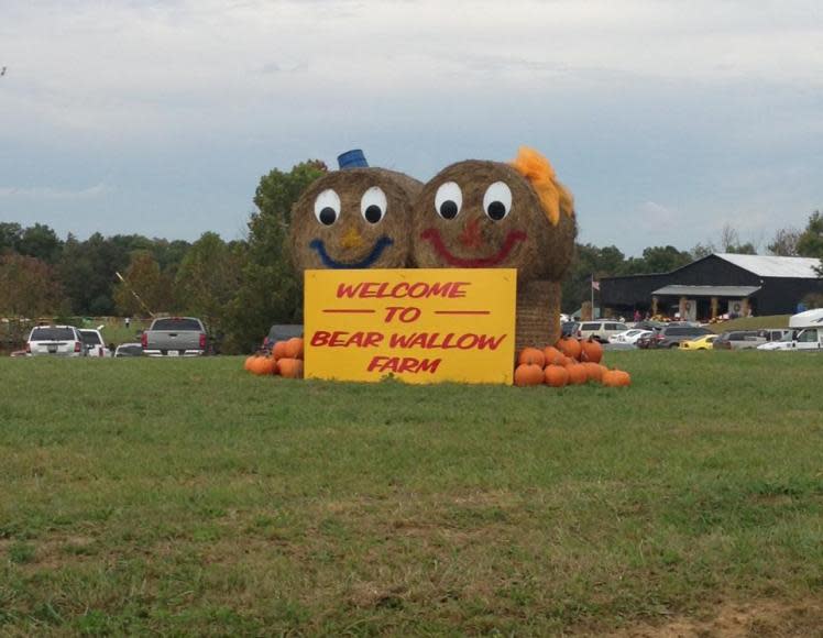 Bear Wallow Farm
