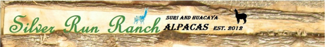 Silver Run Ranch Alpacas