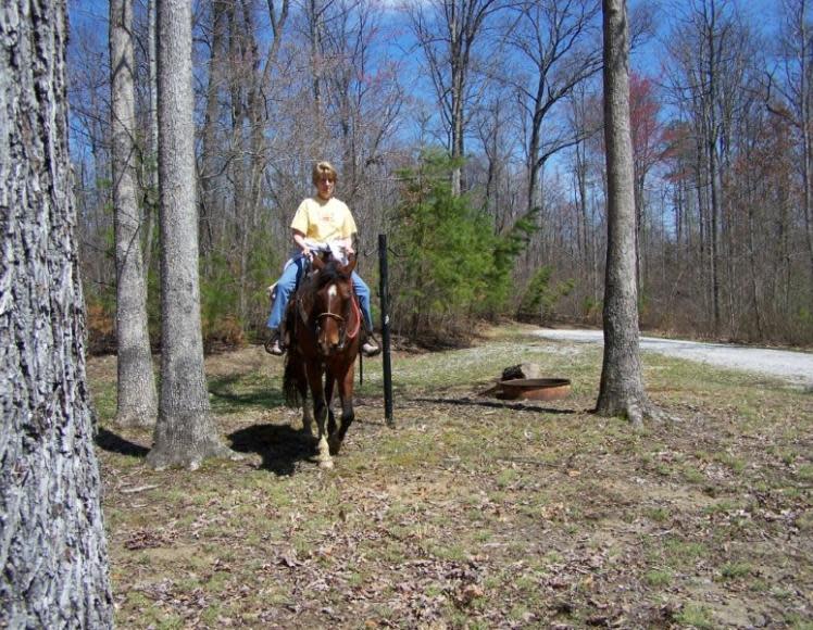 Barren Fork Horse Camp