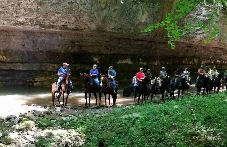 Climax Horse Camp