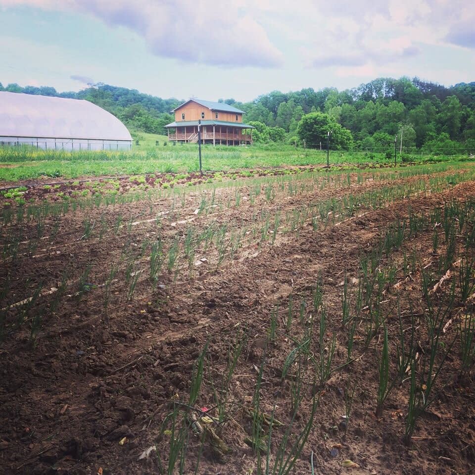 Old Homeplace Farm