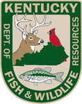 Cumberland River Tailwater