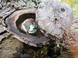 Russell County Geocaching