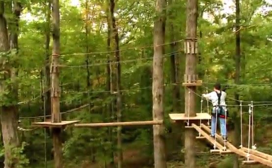 Treetop Adventure