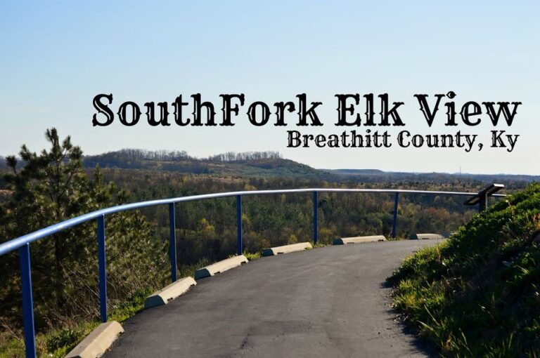South Fork Elk View