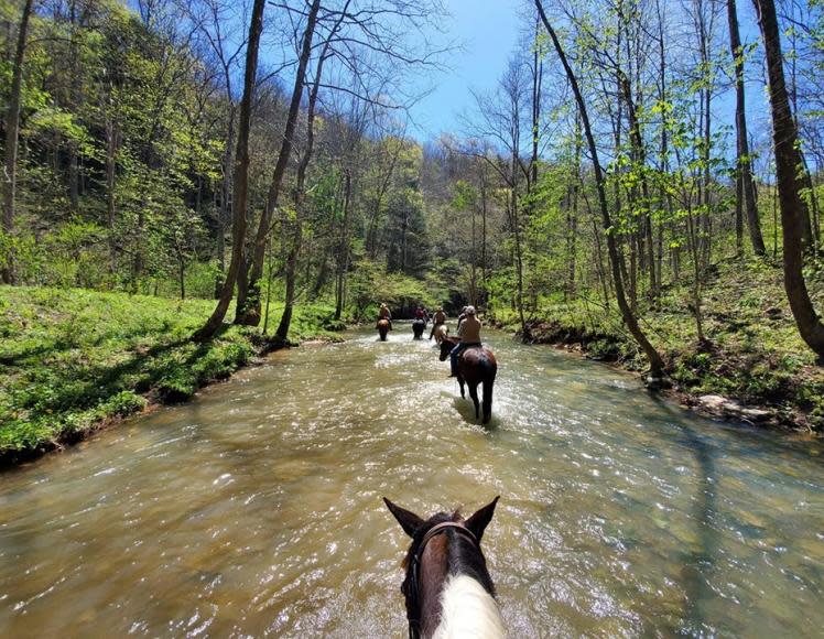 Triple R Ranch Outfitters
