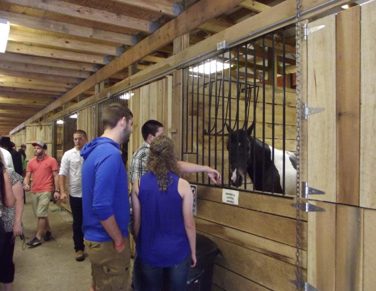 H&M Stables