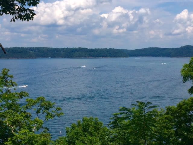 Lake Cumberland Wildlife Management Area