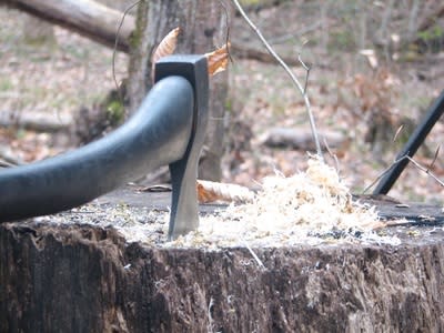 Rocky Woodland Forge