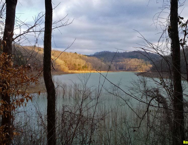 Little Lick Campground (Horse Camp)