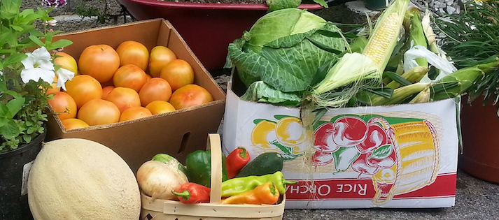 Middlesboro Farmer’s Market