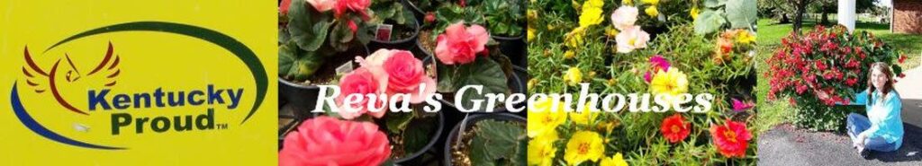 Reva’s Greenhouses