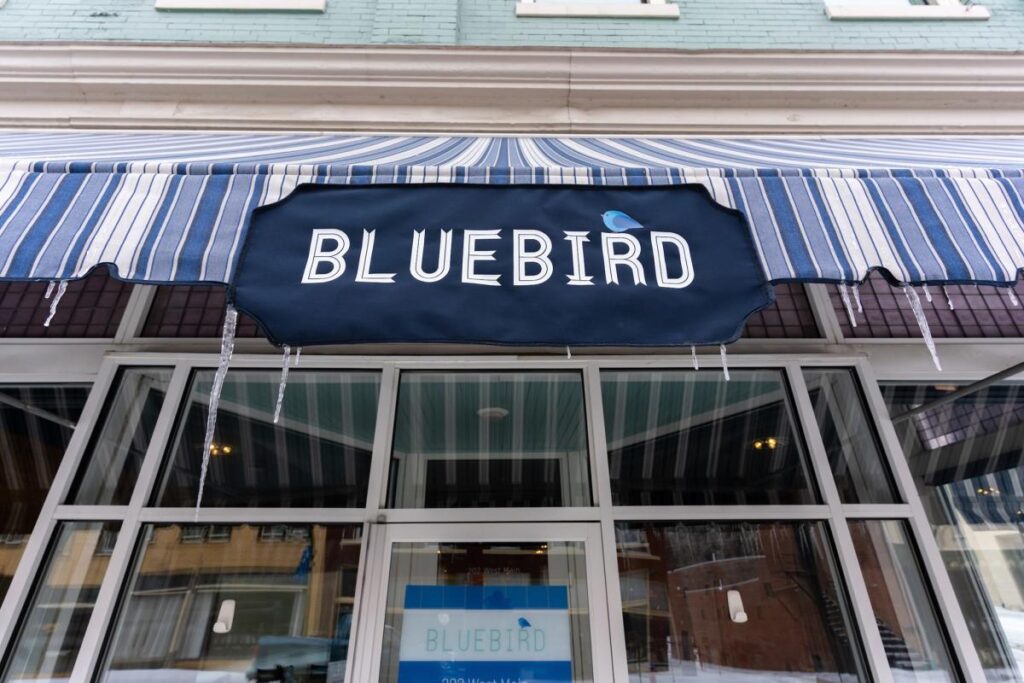 The Bluebird