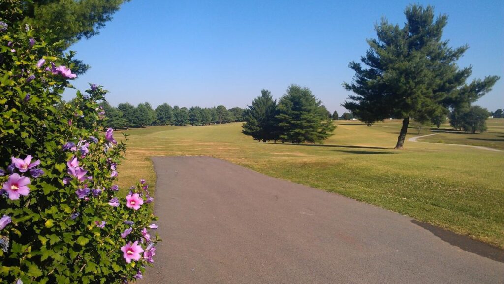 The Pines at Lindsey Wilson (Country Club)