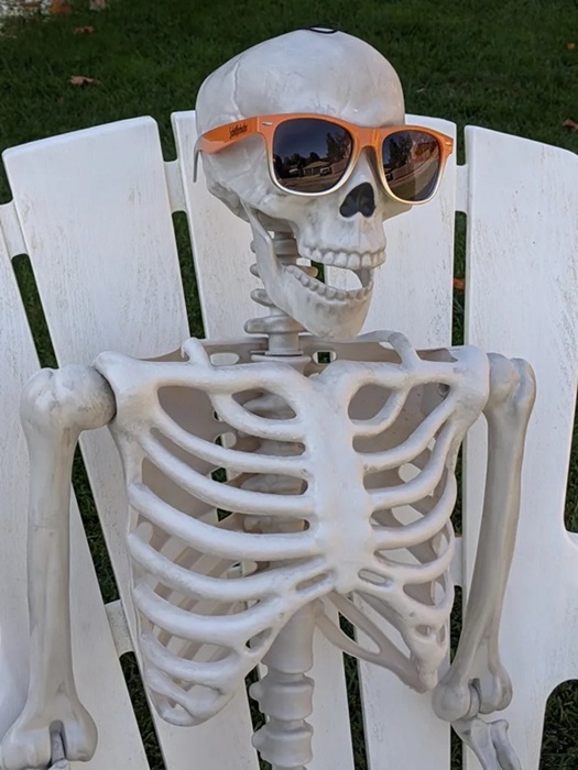 Spooky Scary Skeleton